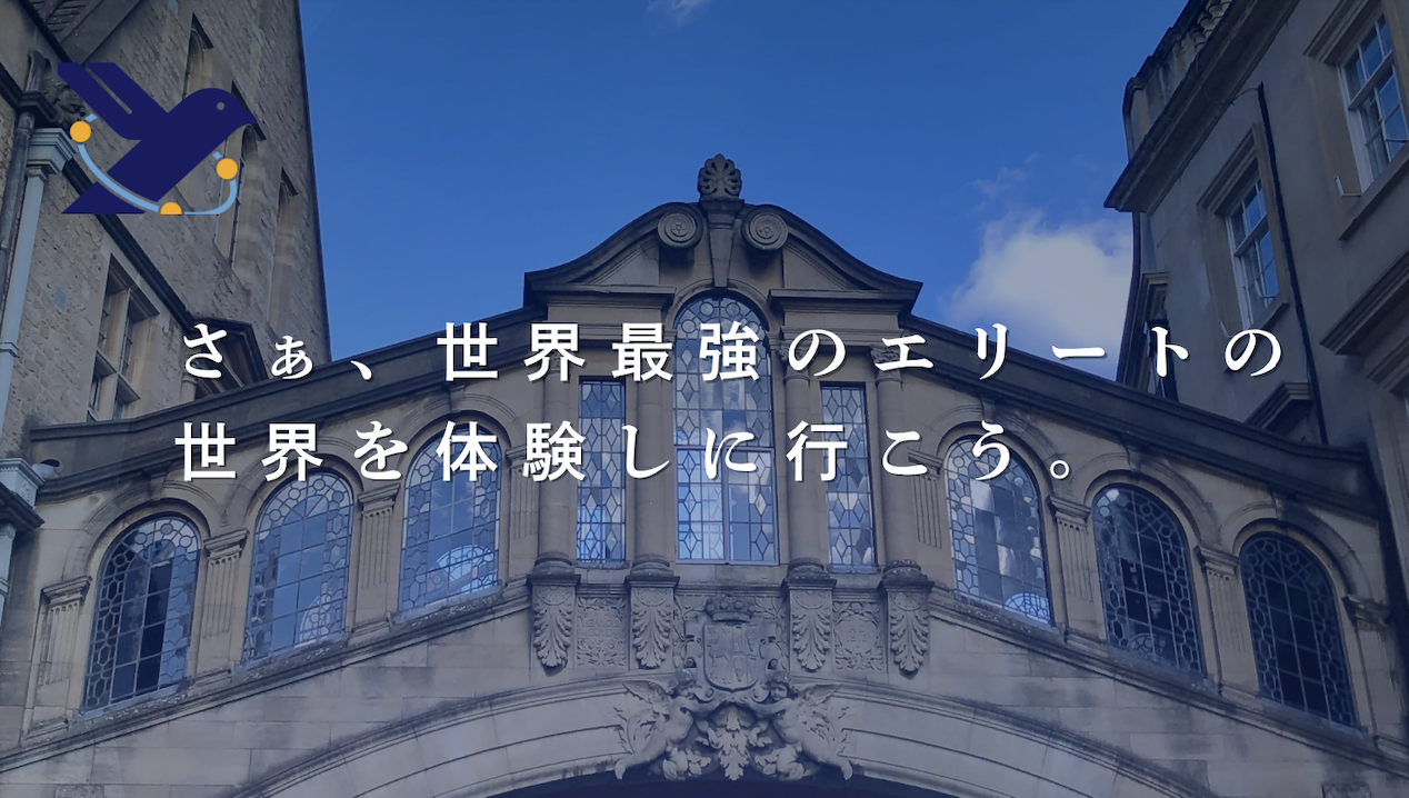 株式会社 primus edge